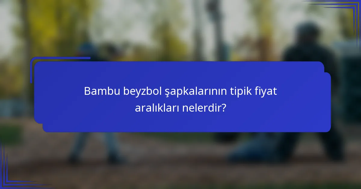 Bambu beyzbol şapkalarının tipik fiyat aralıkları nelerdir?