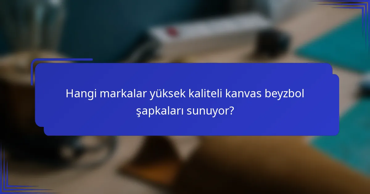 Hangi markalar yüksek kaliteli kanvas beyzbol şapkaları sunuyor?